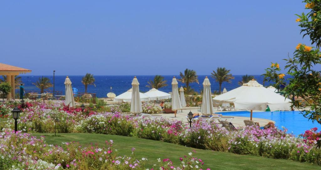 Royal Brayka Beach Resort アブ・ダバブ エクステリア 写真